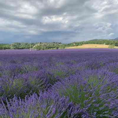 Photo de Moustier Sainte Marie￼